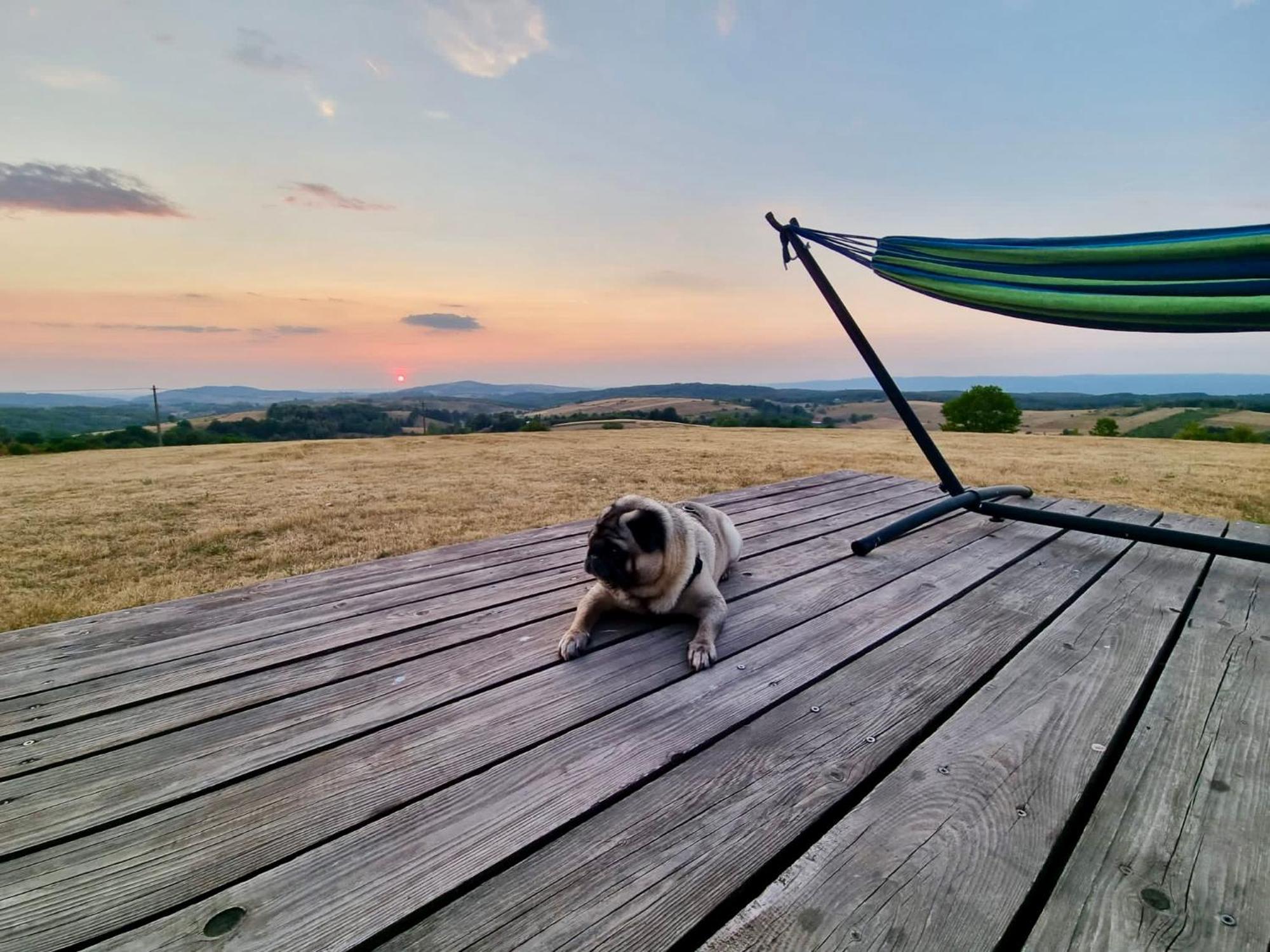 Mountaintop Panoramaview Casa In Bihor Apuseni วาดูกริชูลุย ภายนอก รูปภาพ